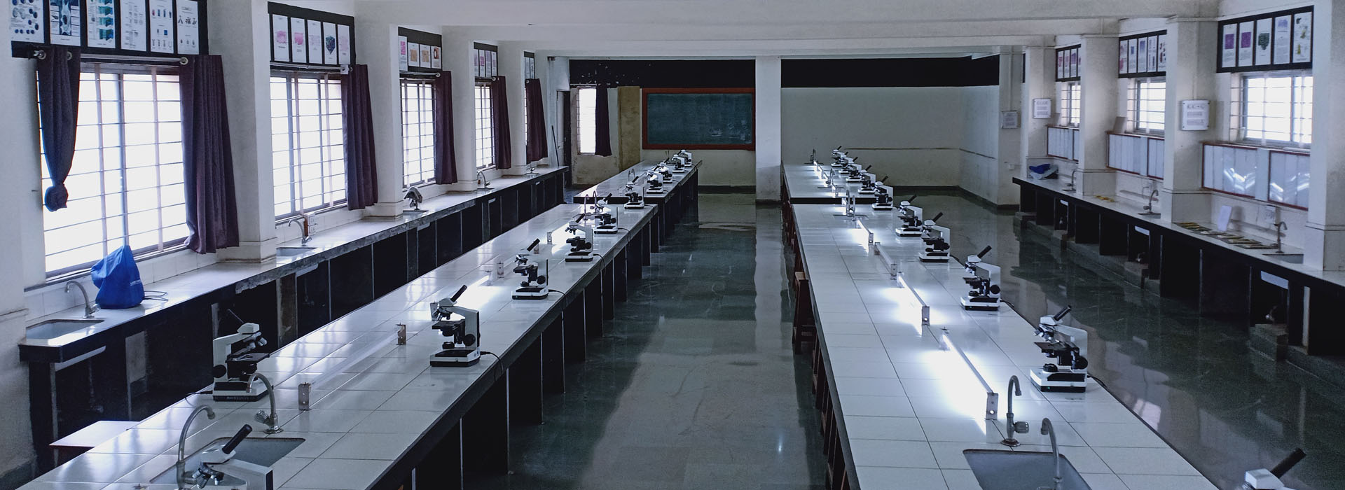 Department of Anatomy, Medical College Pune  